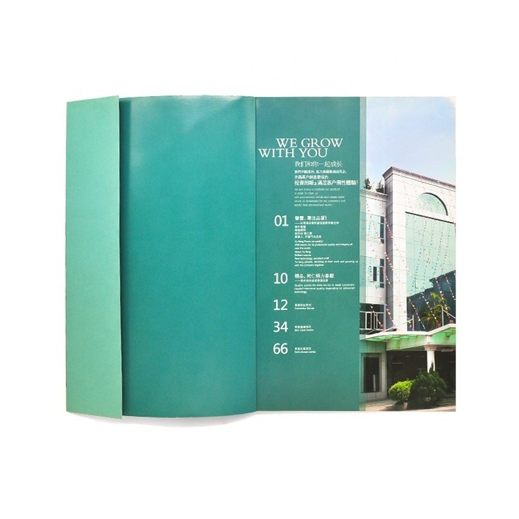 Aangepaste kleurenfotoboekdruk 4c+4c CMYK-kleur ISO-goedkeuring
