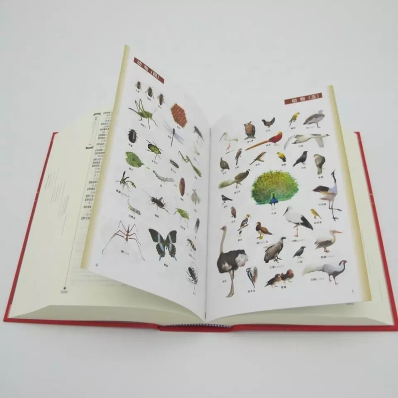 Glanzende / matte laminering Afdrukbaar Engels woordenboek Kleurrijk digitaal afdrukken