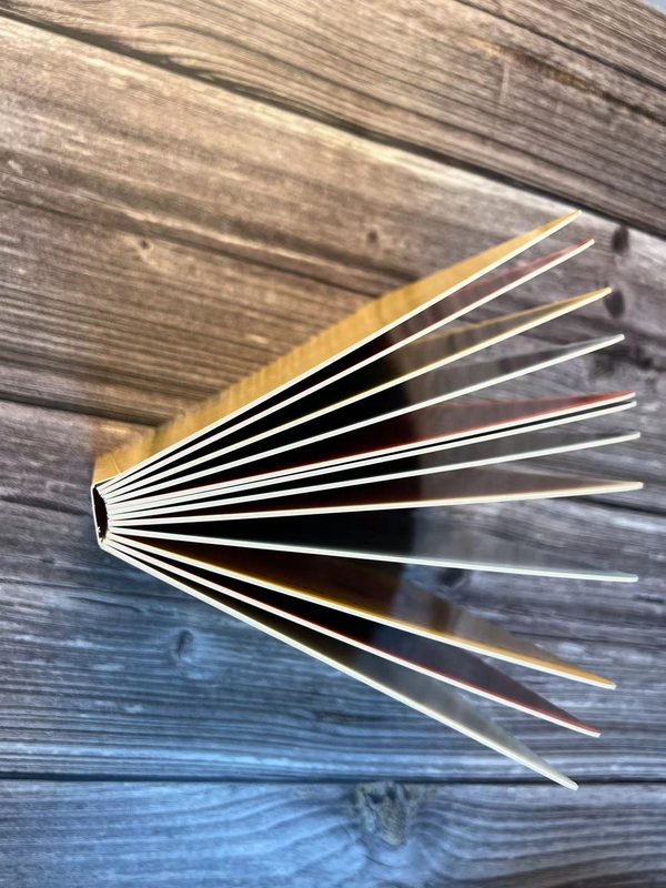 A5 van de de Douanekleuring van de Pamfletbrochure van de het Boekdruk de Kleur ISO van Cmyk