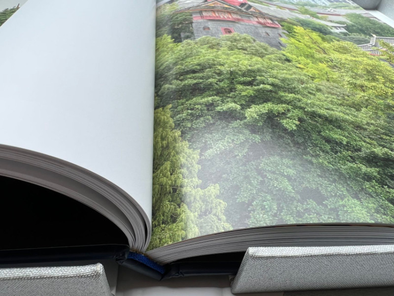Van de de Dekkingsfoto van CMYK het Harde Zadel die van de het Boekdruk UV Volledige Kleur 21cm stikken